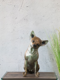 Chihuahua bronzen hondjes