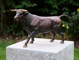 Stier met goudbronzen horens en hoeven