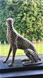Bronzen cheetah of jachtluipaard
