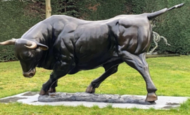 Supergrote aanvallende bronzen stier