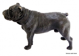 Buldog puppy hond brons beeld