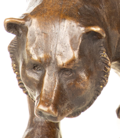 Bronzen beursbeer op Börsenplatz
