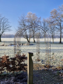 Rozenboog volstaal-Diverse Maten en Kleuren
