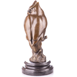 Ransuil of katuil bronzenbeeld