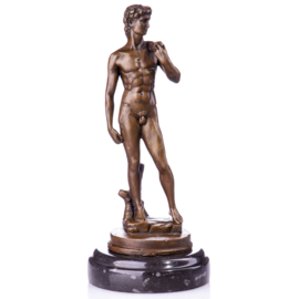 Bronzen David beeld