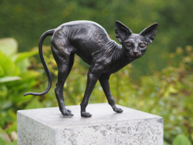 Bronzen Sphynx katten beelden