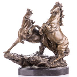 Twee steigerende bronzenpaarden beeld