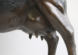 Koe bronzen beeld