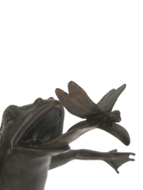 Bronzen kikkerfontein met libelle