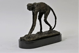 Bronzen spinaap aap beeld
