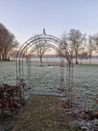 Rozenboog volstaal-Diverse Maten en Kleuren