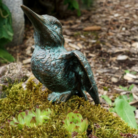 IJsvogel bronzenbeeld