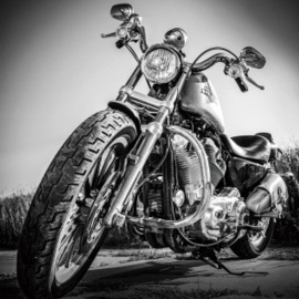 Harley Davidson motorschilderij