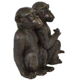Chimpansee apenpaar brons beeld