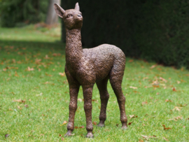 Bronzen baby Alpaca tuinbeeld