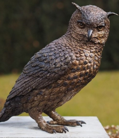 Bronzen beeld van een uil