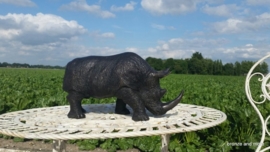 Neushoorn Rhinocerotidae brons beeld