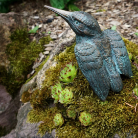 IJsvogel bronzenbeeld