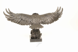 Eagle adelaar bronzen beeld