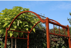 Tuinpoort in 3 kleuren en 2 maten