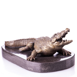 Krokodil bronzen beeld