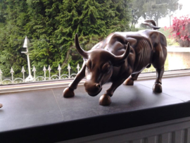 Bronzen Charging Wall Street stier beeld