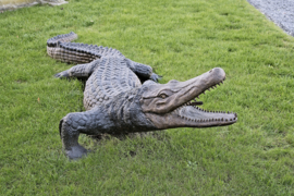 Krokodil alligator bronzen fontein