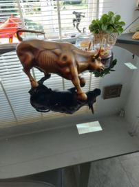 Bronzen Charging Wall Street stier beeld