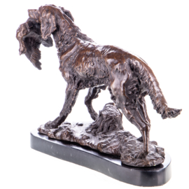Ierse setter jachthond met eend