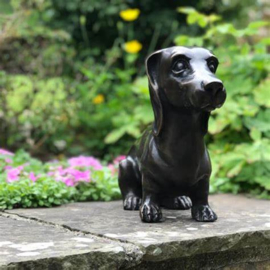Teckel hond bronzen beeld
