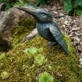 IJsvogel bronzenbeeld