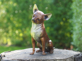 Chihuahua bronzen hondjes