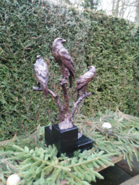 Zeearend groot bronzen beeld