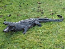 Bronzen beeld krokodil of alligator