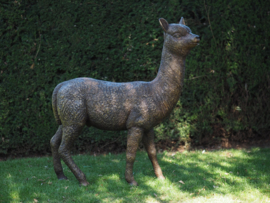 Bronzen baby Alpaca tuinbeeld