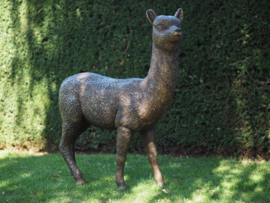 Bronzen baby Alpaca tuinbeeld