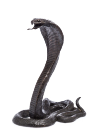 Bronzen Cobra slang bronzen beeld