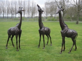 Giraffen bronzen tuinbeelden