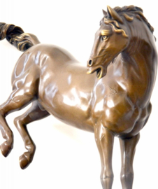 Trappend bronzen paard beeld