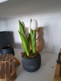 Kunst tulpen wit op pot