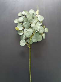 Kunst eucalyptus tak