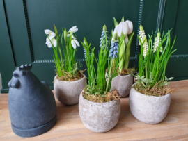 Kunst tulpen wit op pot, licht grijs