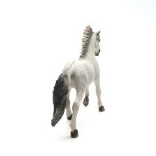 Sorraia Mustang hengst