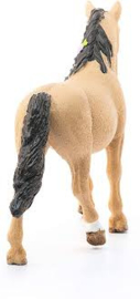 Connemara pony