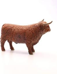 Hoogland stier