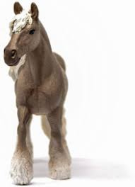 Silver Dapple merrie
