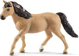 Connemara pony