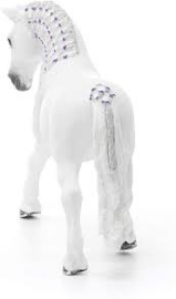 Lipizzaner merrie