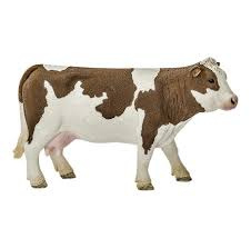 Simmental koe