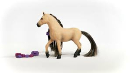 Beauty Horse andalusier merrie